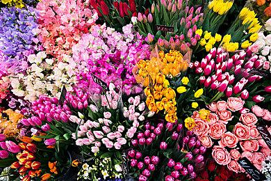 经典回归 《塞伯利亚之谜：复刻版》上市日期公布